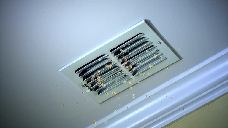 Best Home Air Vent Cleaning  in St Paul, TX